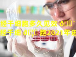 神经干细胞多久见效 🐴 （神经干细 🦈 胞2021年进展）